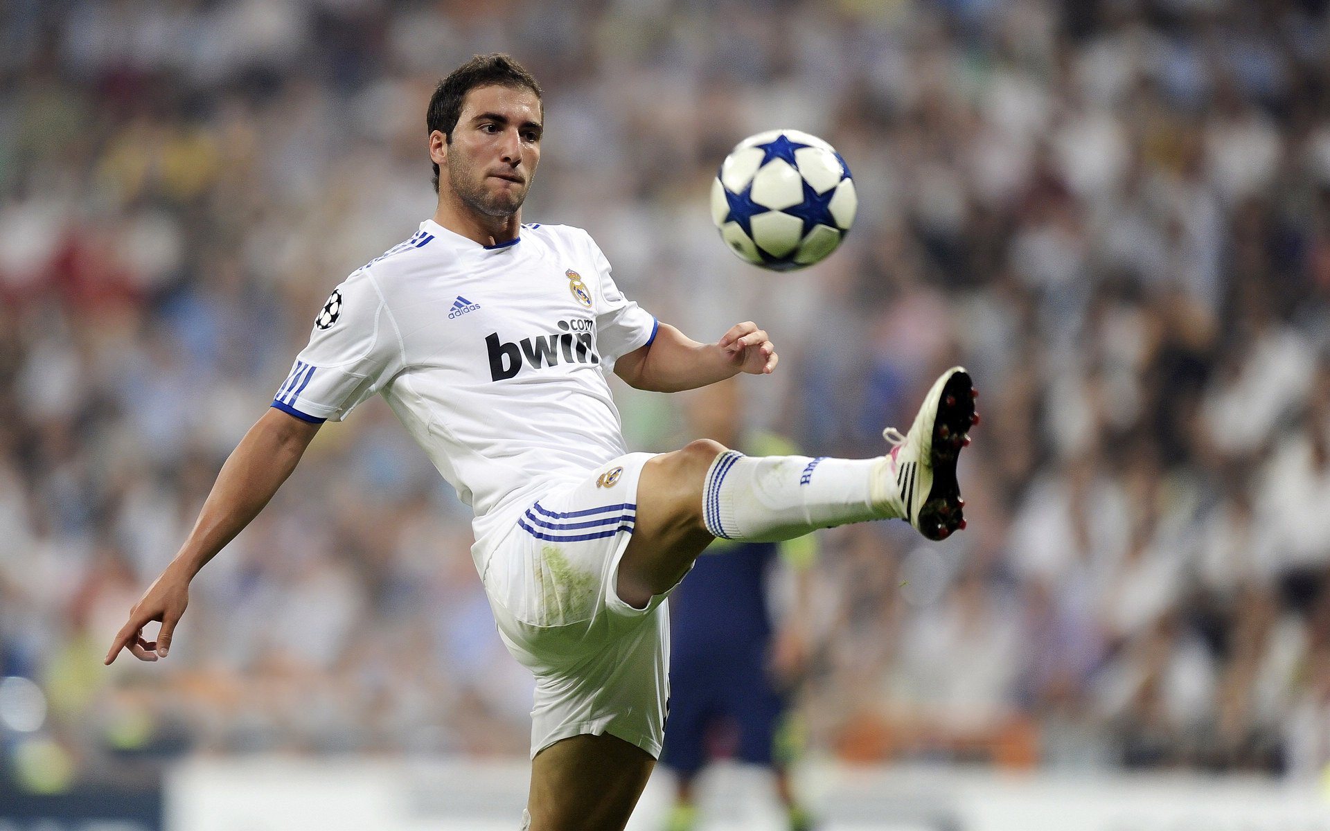 关键时刻：王强最后三分稳住局势，锁定胜利！，王强1968